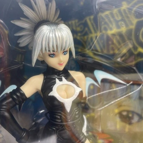 Shadow lady figure future - shadow,